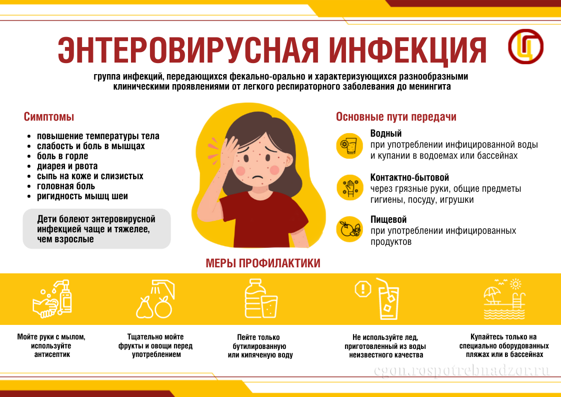 В Тюменской области регистрируется сезонный рост заболеваемости энтеровирусной инфекцией.


Энтеровирусные инфекции — большая группа заболеваний, вызываемых кишечными вирусами (энтеровирусами), которые размножаются в пищеварительном тракте и способны распространяться по всему организму.

Энтеровирусные инфекции могут поражать человека в любом возрасте, однако наибольшему риску подвержены дети до 10 лет.

Заражение происходит двумя путями: воздушно‑капельным (при кашле, чихании, разговоре) и фекально‑оральным (через пищу, воду, лёд, бытовые предметы, игрушки).

Энтеровирусные инфекции могут проявляться в различных клинических формах — от лёгких респираторных заболеваний или кишечных расстройств, экзантемы и герпангины, до более серьёзных, таких как серозный вирусный менингит.

Главный признак энтеровирусной экзантемы, которая, как правило, встречается среди детей первых лет жизни, — высыпания розового цвета на лице, туловище, конечностях.

Наиболее частая форма энтеровирусной инфекции — энтеровирусная лихорадка, при которой ощущаются боли в животе, мышцах, появляется конъюнктивит, увеличиваются шейные лимфатические узлы.

Одна из самых опасных форм — серозный менингит. В этом случае возможны нарушение сознания и судороги. Дети, переболевшие энтеровирусным менингитом, страдают нарушениями речи и имеют трудности в школьном обучении.

Управление Роспотребнадзора по Тюменской области напоминает. Чтобы не заболеть энтеровирусной инфекцией, необходимо:

Соблюдать правила личной гигиены; мыть руки с мылом перед едой, после возвращения с улицы и посещения туалета; обрабатывать руки разрешёнными для этих целей кожными антисептиками;

Обучить детей правилам личной гигиены и контролировать их выполнение;

Ограничить контакты детей раннего возраста, сократить время пребывания в местах массового скопления людей, в закрытых помещениях и в общественном транспорте;

Чаще проветривать помещения, регулярно проводить влажную уборку;

Пользоваться индивидуальной посудой, держать в чистоте детские соски, предметы ухода за детьми, игрушки.

 Чаще проветривать помещения, регулярно проводить влажную уборку;  

Пользоваться индивидуальной посудой, держать в чистоте детские соски, предметы ухода за детьми, игрушки;  

Употреблять для питья бутилированную или кипячёную воду, напитки в заводской упаковке;  

Приобретать продукты в установленных местах, обращать внимание на сроки годности и температуру хранения;  

Тщательно мыть фрукты и овощи водой гарантированного качества;  

Купаться только в тех бассейнах, где проводится обеззараживание и контроль качества воды. Не купаться в фонтанах и водоёмах, где купание запрещено;  

Избегать заглатывания воды во время купания;  

При лечении заболевшего энтеровирусной инфекцией в домашних условиях обязательно проводить текущую дезинфекцию с использованием дезинфицирующих средств, эффективных против вирусов, т. к. вирус устойчив во внешней среде;  

Ни в коем случае не отправлять заболевшего ребёнка в детский сад, лагерь, не заниматься самолечением — вызовите врача на дом или обратитесь в поликлинику по месту жительства. 